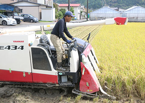 R7年度 新米 澤山さんの岡部米 にこまる