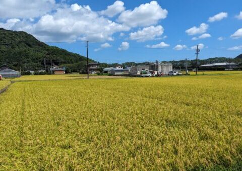 R7年度 新米 福井県鯖江市産 ハナエチゼン